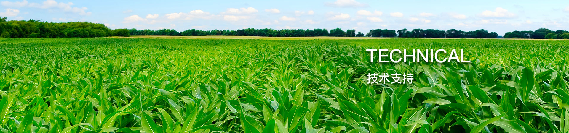 环润灌溉技术支持